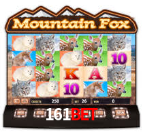 161bet